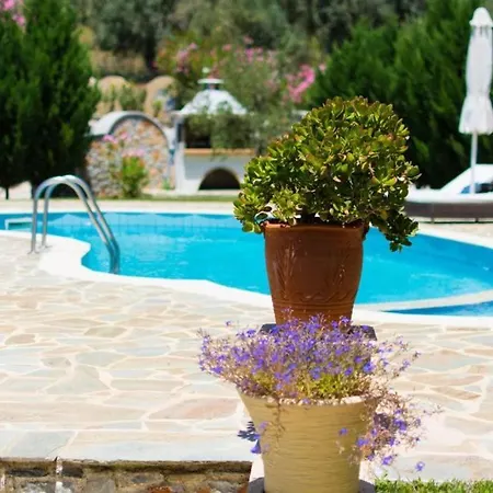 Sunset Amelia ヴィラ *