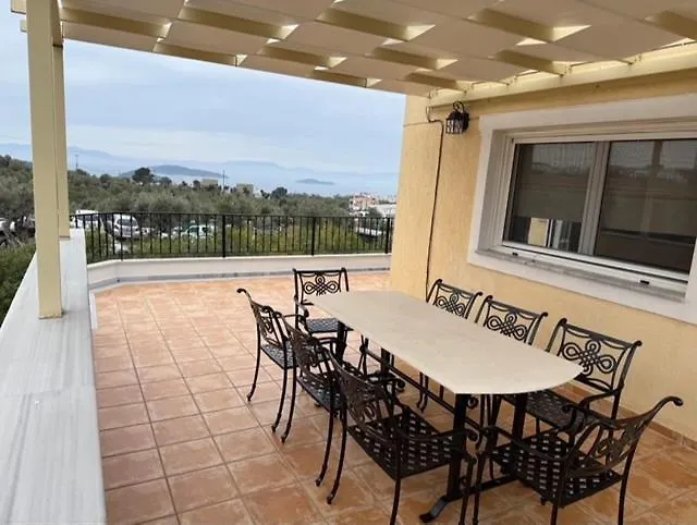 فيلة Sunset Amelia *